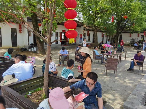 羅田假日旅游 產品豐富，服務文明有序